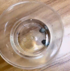 <a href='http://m.jnjinpai.cn' title='危險品貨代' >危險品貨代</a>